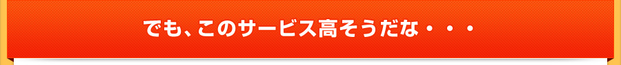 でも、このサービス高そうだな・・・ でも、このサービス高そうだな・・・